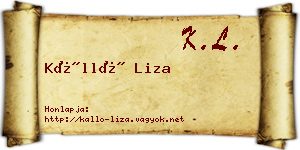 Kálló Liza névjegykártya